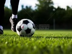 冯潇霆新任,职位公布,级别超越郜,OD体育,OD体育app,OD体育官网,OD体育下载,OD体育入口