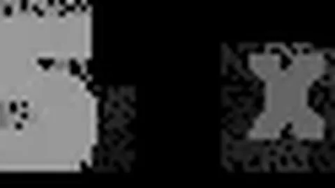 喜讯连连！4胜3佳绩闪耀，连连中奖，福利狂欢不停歇！